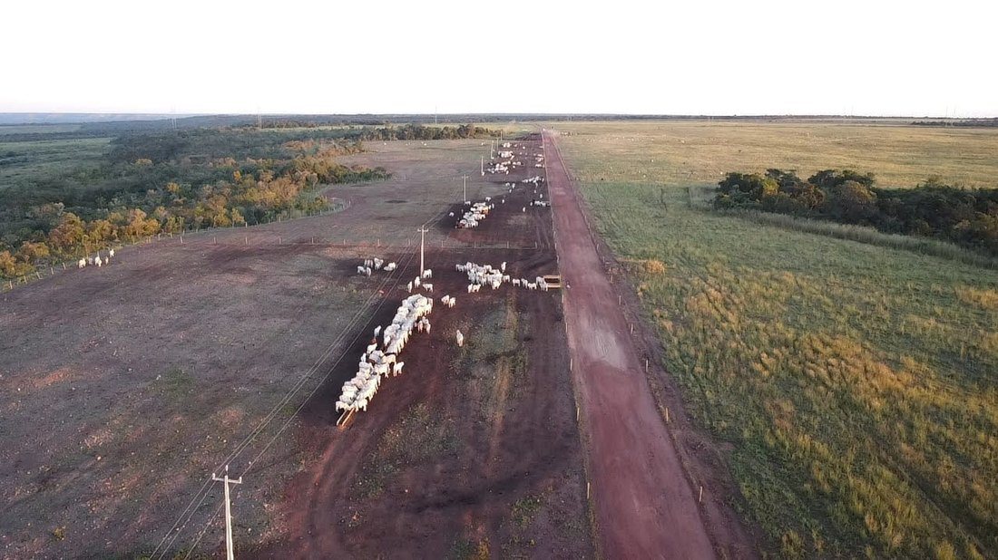 Fazenda Chapadas do Maranhão, imagem 3