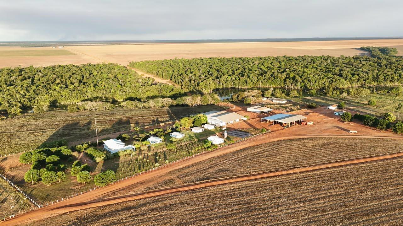 Fazenda Médio Norte do Mato Grosso, imagem 3