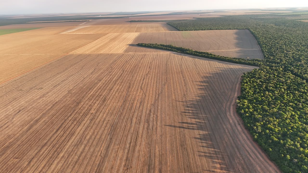 Fazenda Médio Norte do Mato Grosso, imagem 4
